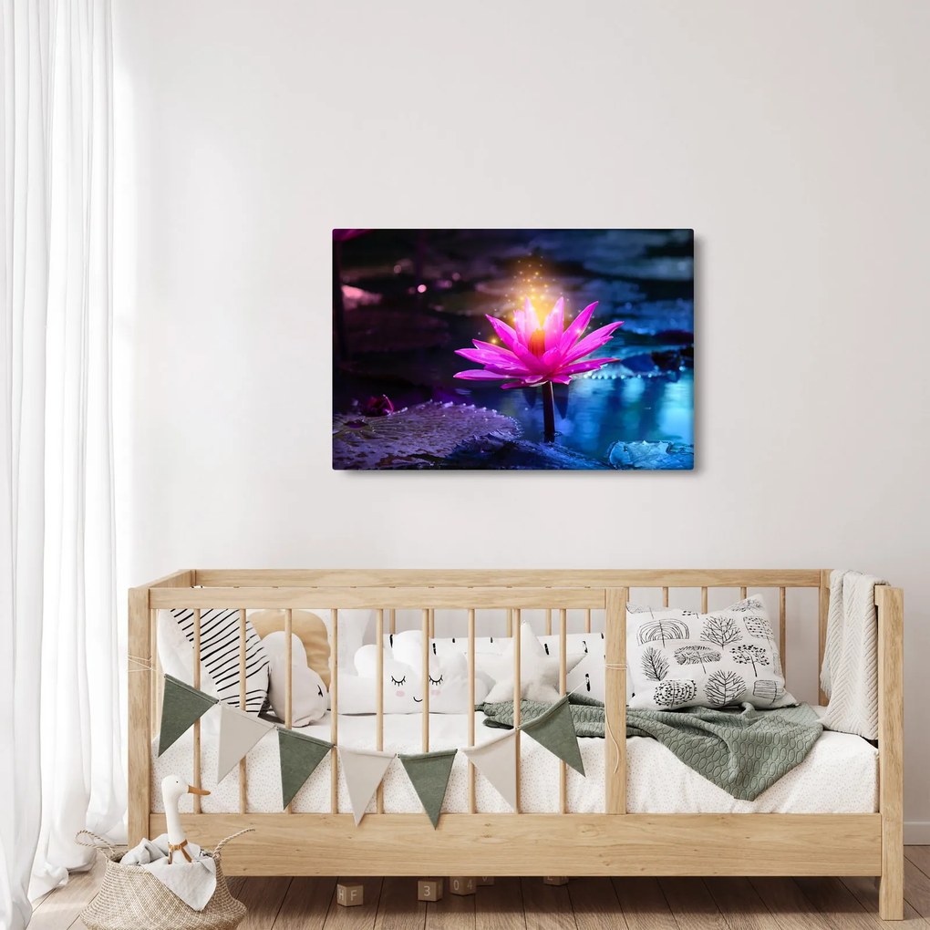 Obraz lekna na vode (90x60 cm)