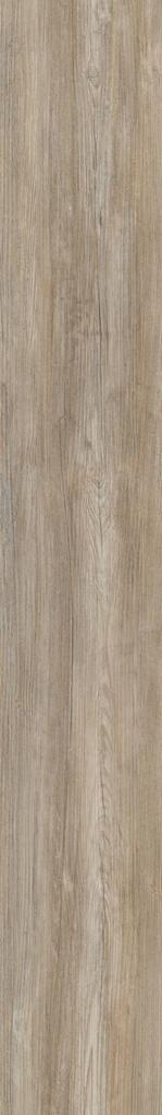 Oneflor Vinylová podlaha ECO 30 066 Prestige Oak Natural - Lepená podlaha