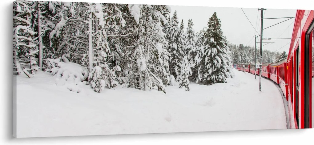Obraz - Vlak v zasneženej krajine (120x50 cm)