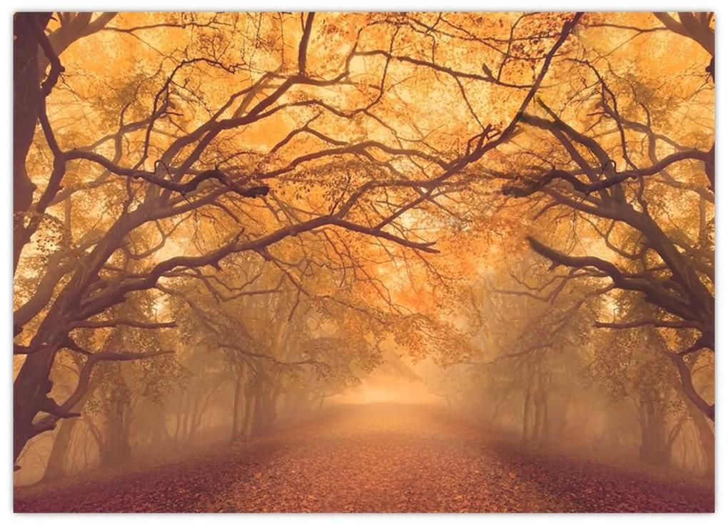 Sklenený obraz cesty v jesennej krajine (70x50 cm)