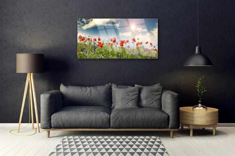 Skleneny obraz Lúka kvety slnko príroda 125x50 cm