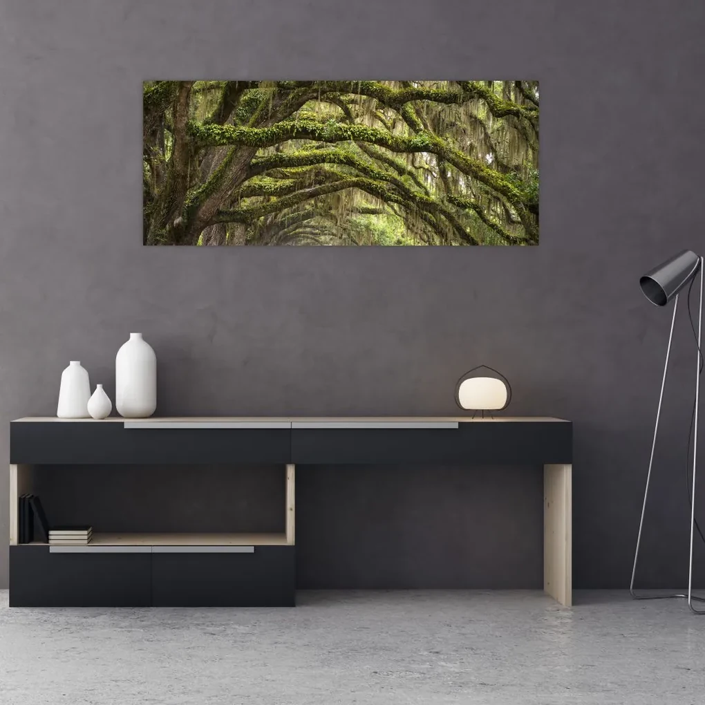 Obraz - Oaks Avenue, Charleston, Južná Karolína, USA (120x50 cm)