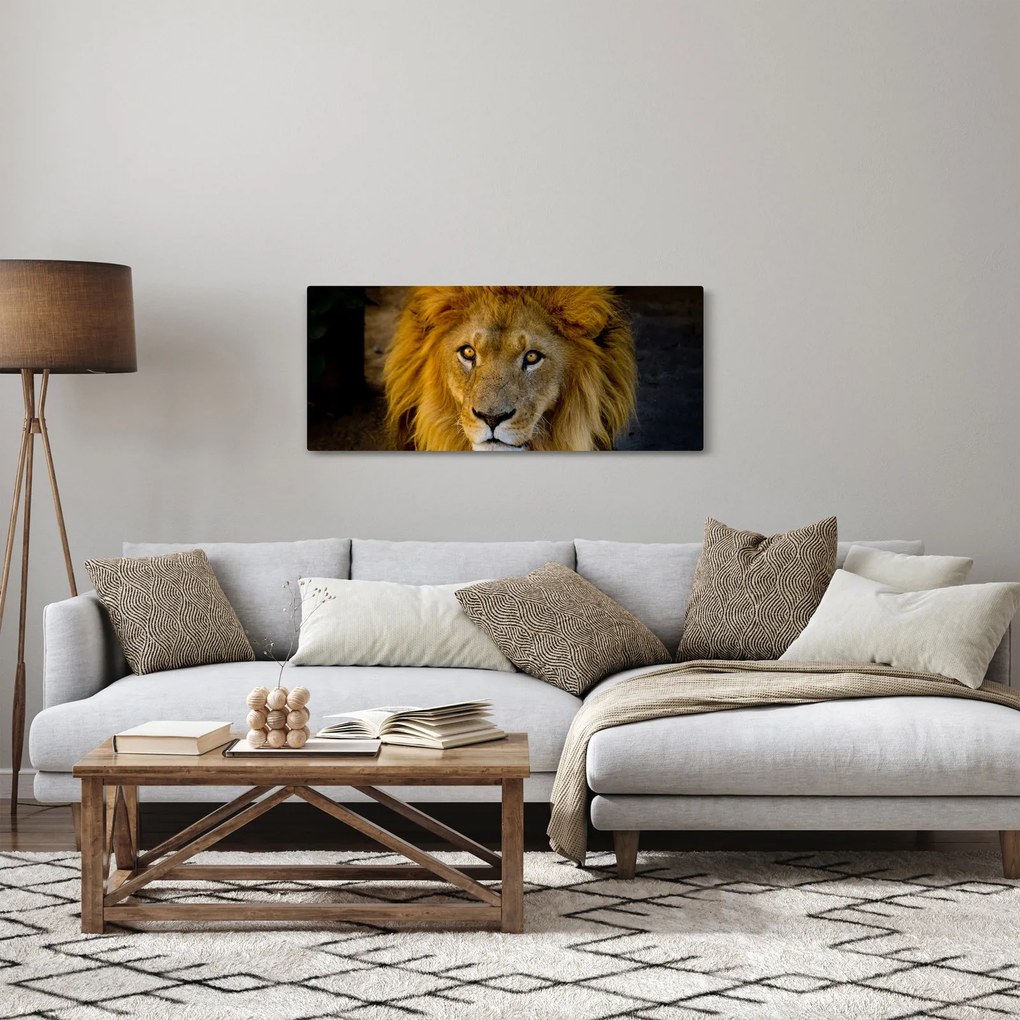 Obraz - Portrét leva (120x50 cm)