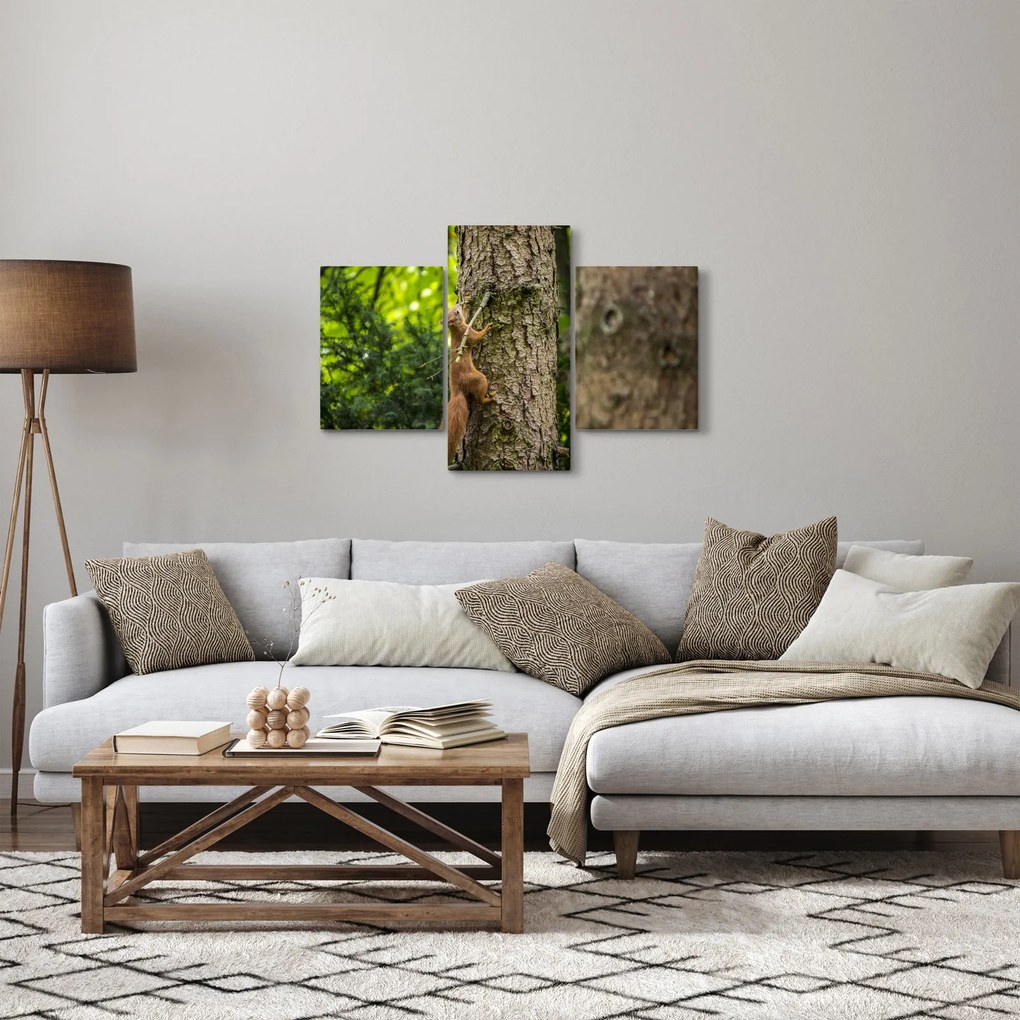 Obraz - Veverička (90x60 cm)