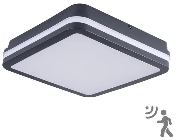 Brilagi - LED Vonkajšie svietidlo so senzorom BENE LED/24W/230V 26x26 cm IP54