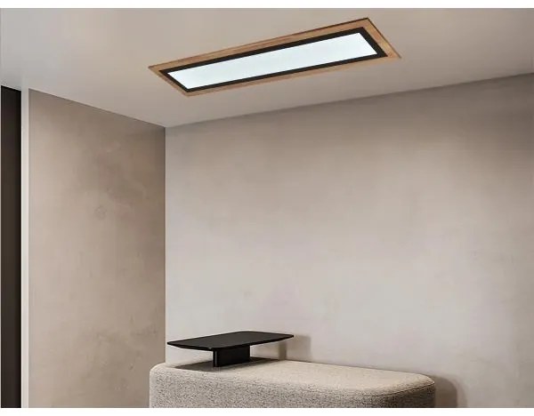 LED stmievateľné stropné svietidlo LED/55W/230V 3000-6500K + diaľkové ovládanie