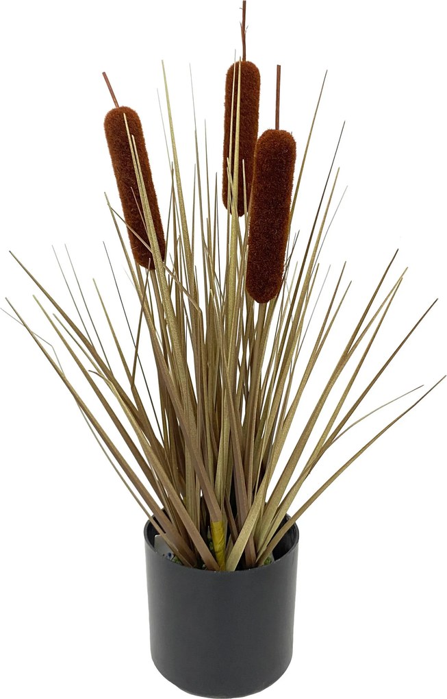 XXXLutz OROBINEC 40 cm Ambia Home - Kvety & kvetináče - 0039530089