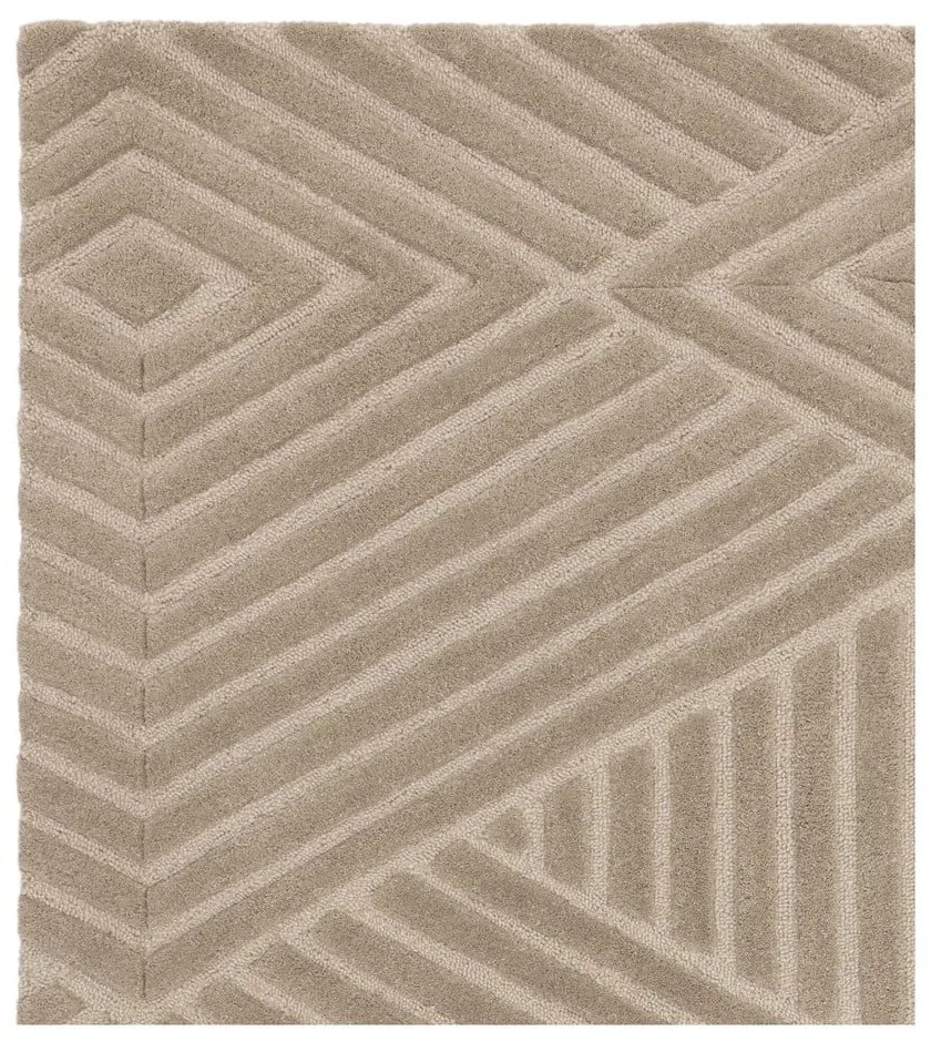 Svetlohnedý vlnený koberec 120x170 cm Hague – Asiatic Carpets