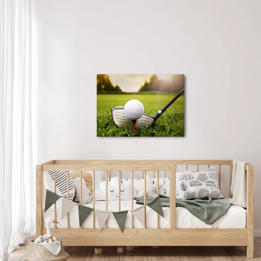 Obraz - Golf (70x50 cm)