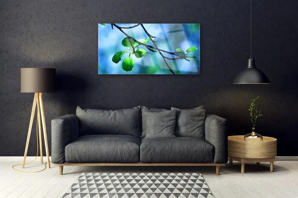 Skleneny obraz Vetva listy rastlina príroda 100x50 cm
