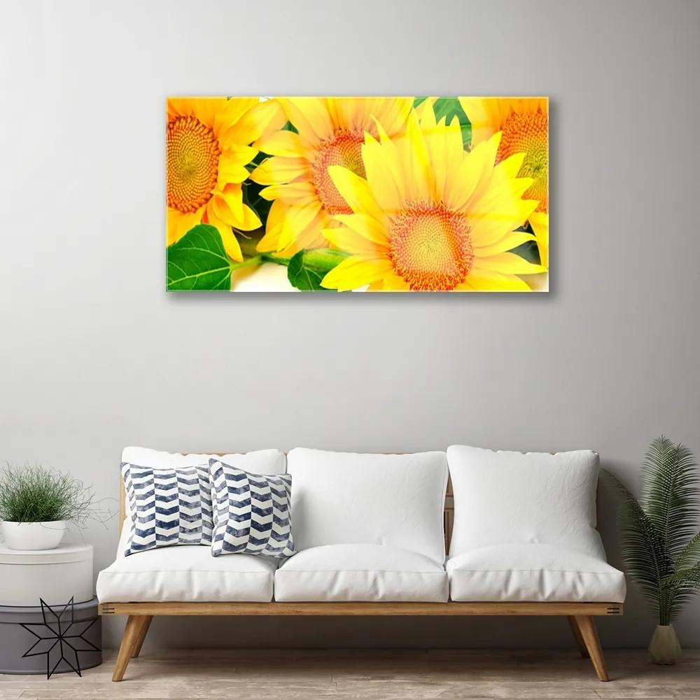 Skleneny obraz Slnečnica kvet príroda 120x60 cm