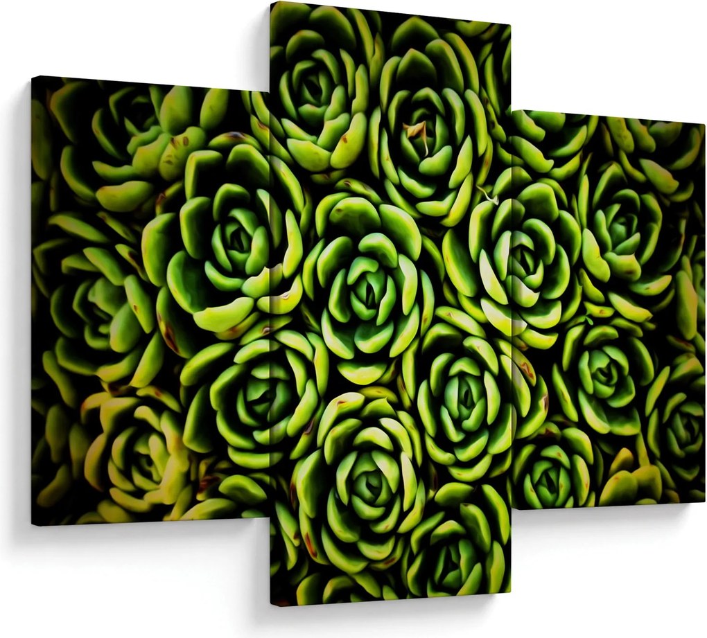Obraz skalníc (90x60 cm)