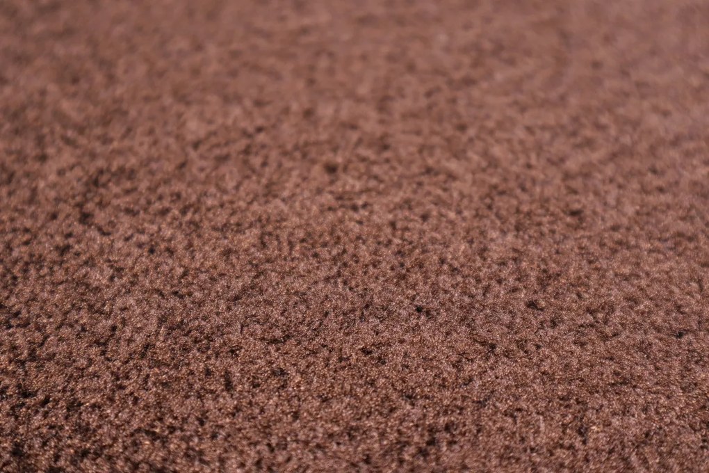 Rohožka Care & Clean brown, 60x90, hnedá, chodba / predsieň, Rinos bv