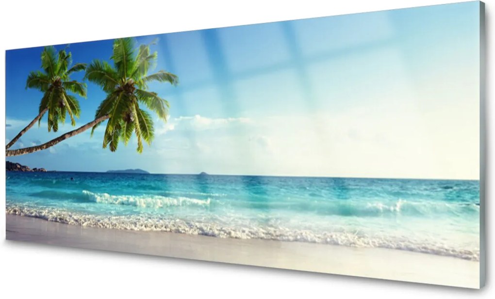 Skleněný obraz More Pláž Palma Krajina