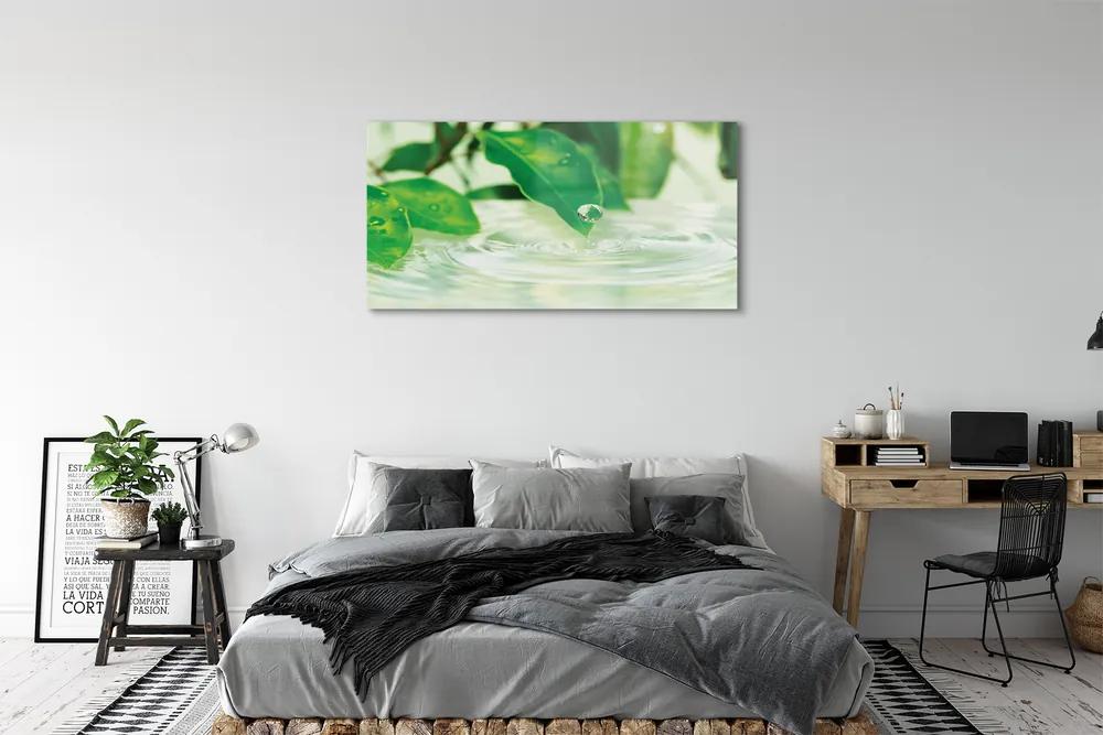 Obraz plexi Kvapky vody lístia 125x50 cm