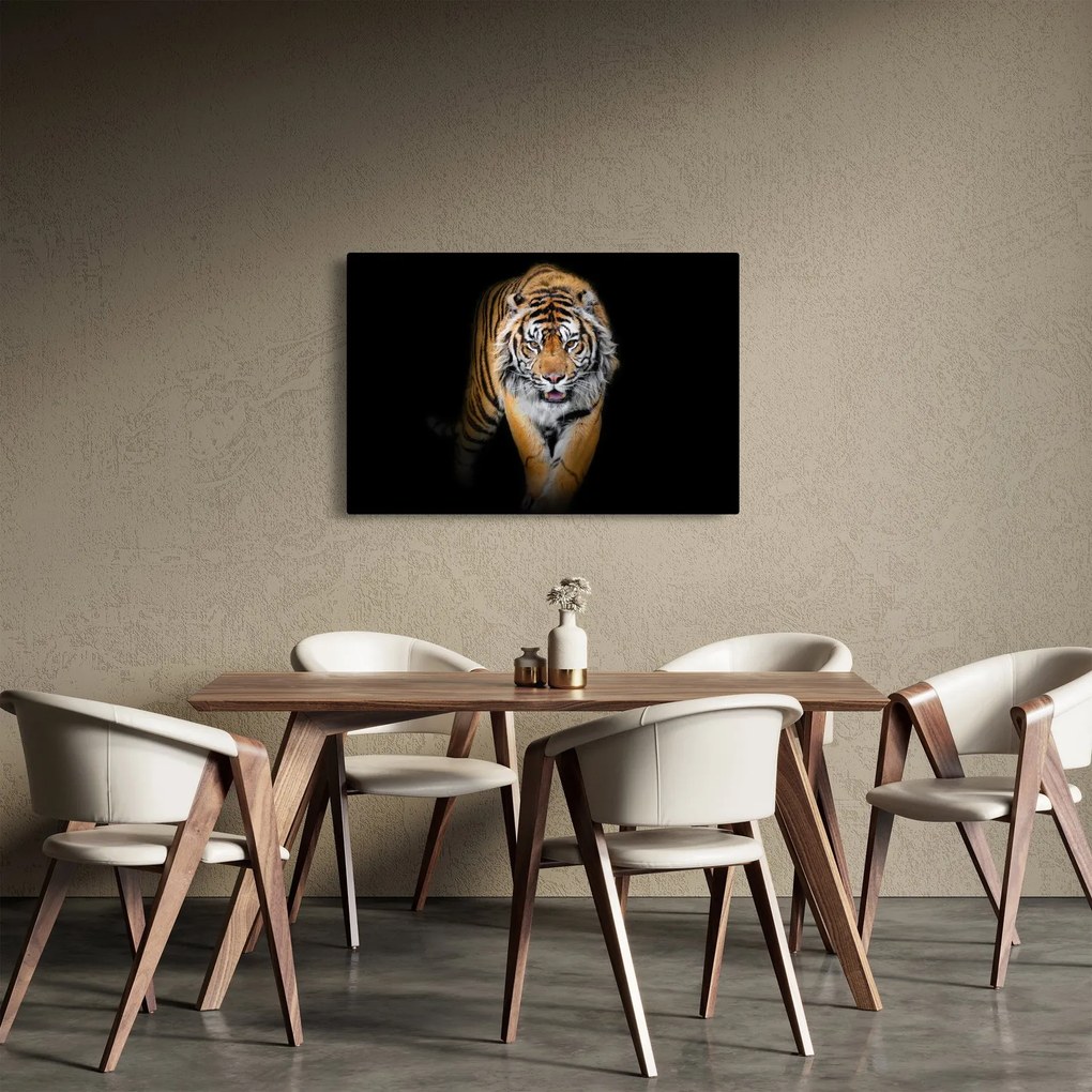 Obraz - Tiger (90x60 cm)
