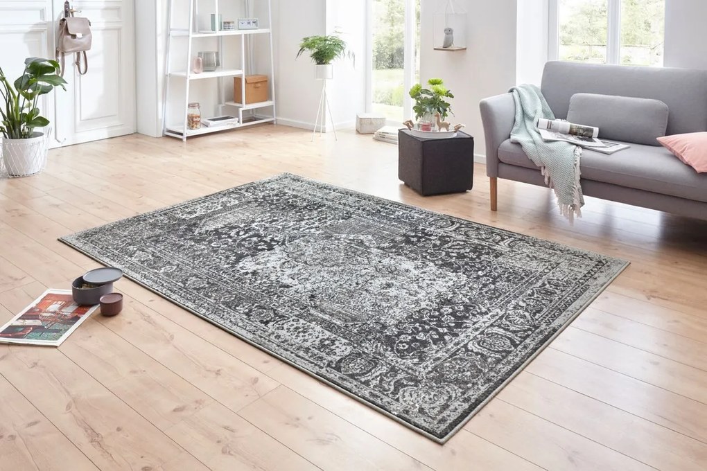 Hanse Home Collection koberce Kusový koberec Celebration 103469 Plume Blue Grey - 120x170 cm