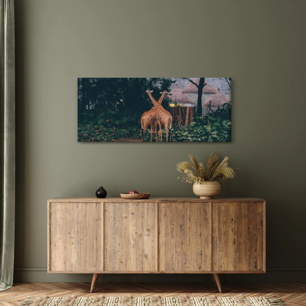 Obraz dvoch žiráf (120x50 cm)
