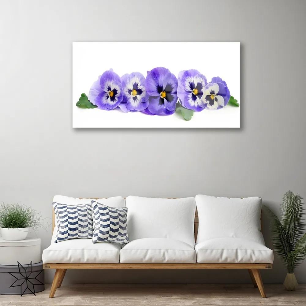 Skleneny obraz Plátky kvet sirôtky 100x50 cm
