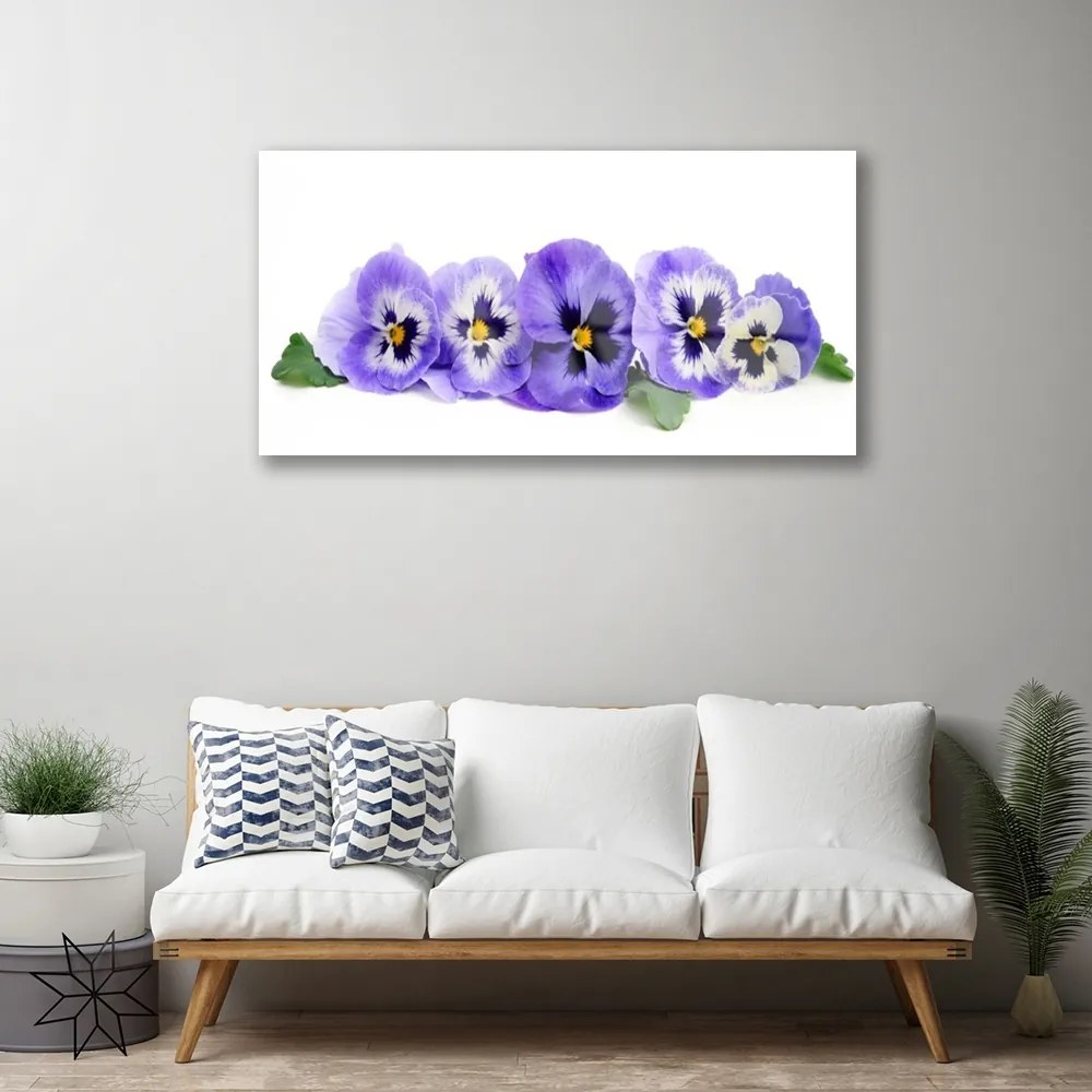 Skleneny obraz Plátky kvet sirôtky 120x60 cm