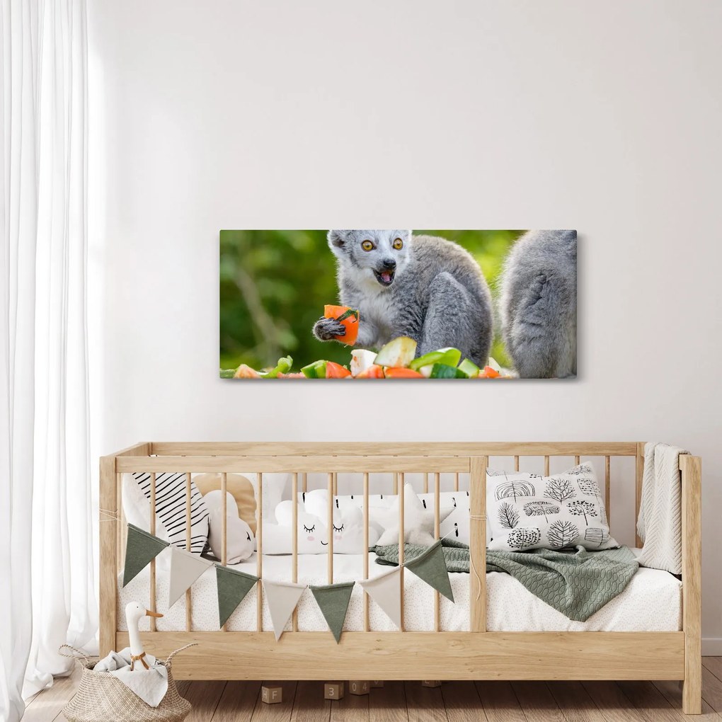 Obraz lemura (120x50 cm)
