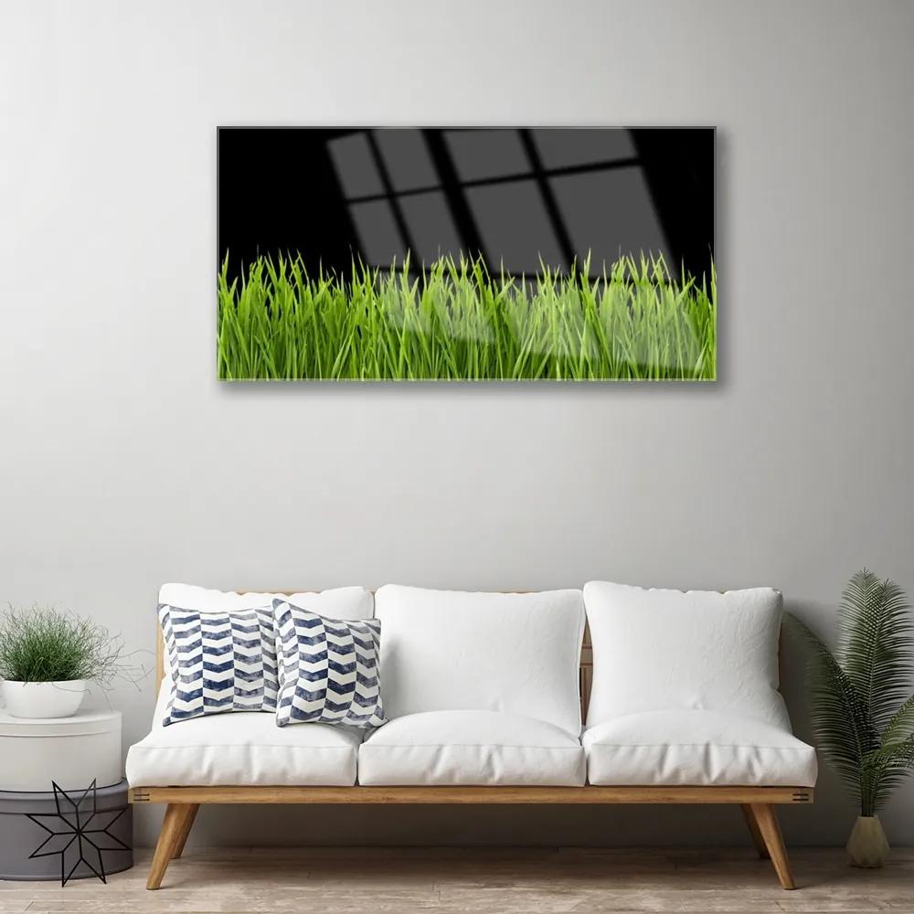Skleneny obraz Zelená tráva príroda 120x60 cm