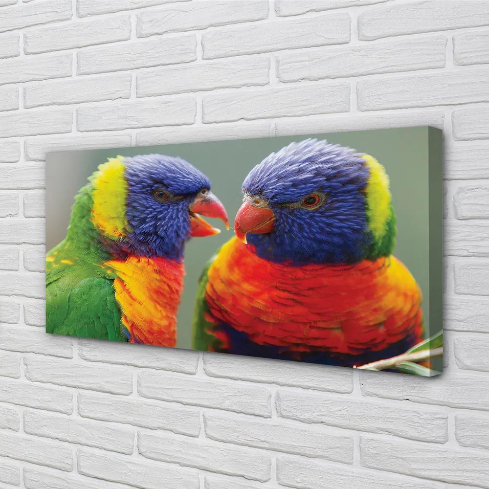 Obraz na plátne farebný papagáj 120x60 cm