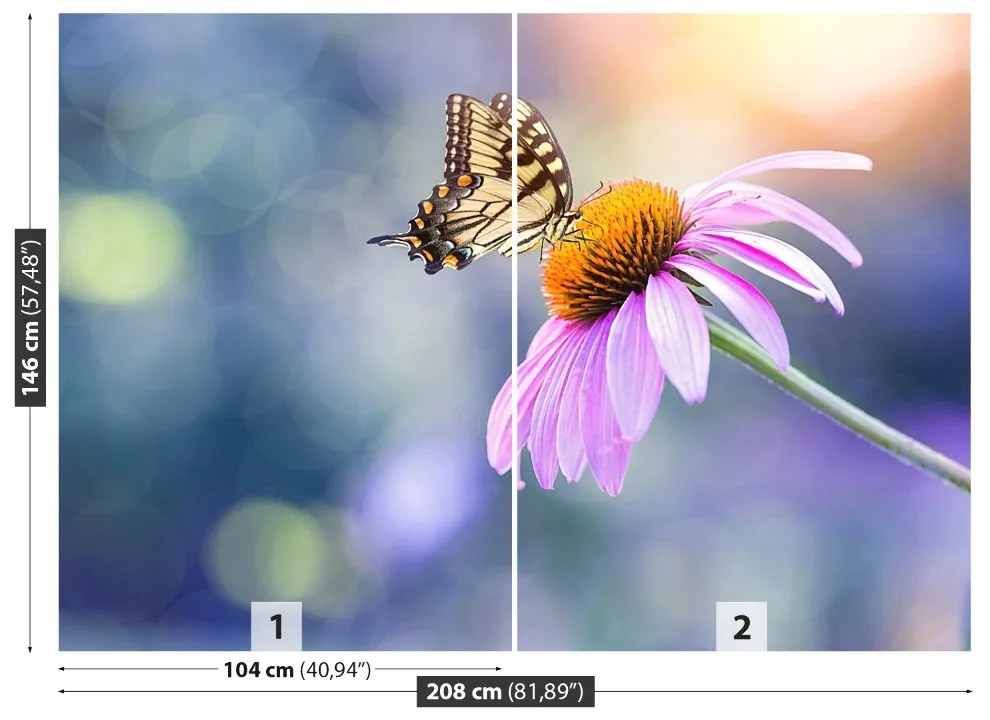 Fototapeta Vliesová Echinacea butterfly 104x70 cm