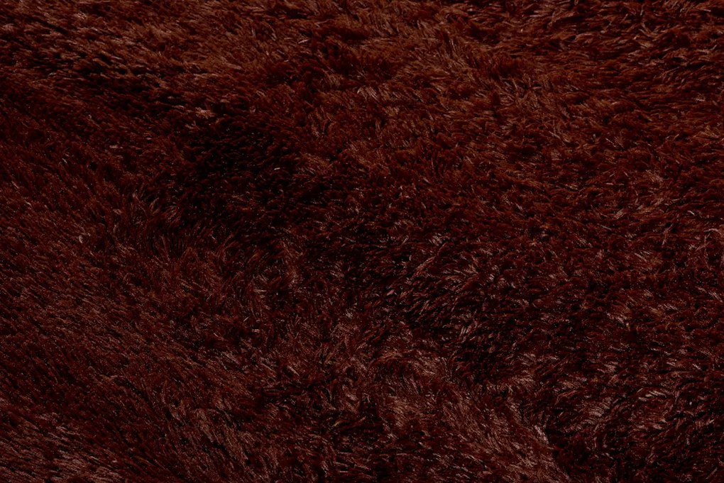 TA Koberec BROWN BROWN SILK Hnedý Obdĺžnikový Rozmer: 80x150 cm