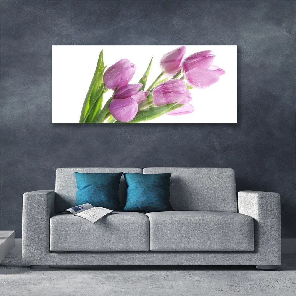 Obraz plexi Tulipány kvety rastlina 125x50 cm