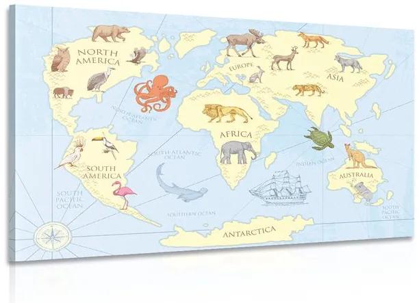Obraz mapa sveta so zvieratami