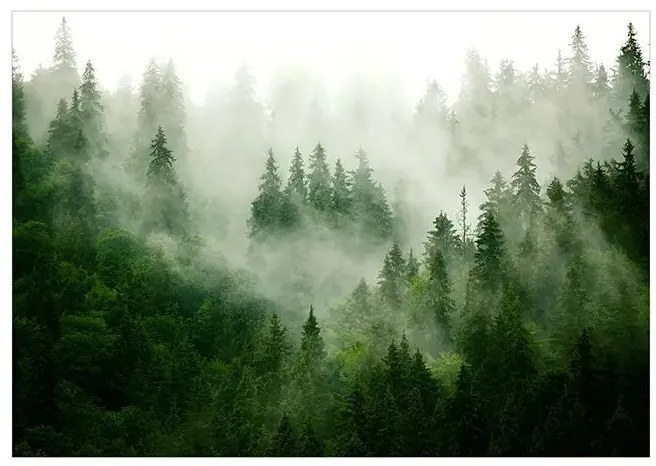 Fototapeta - Mountain Forest (Green) Veľkosť: 150x105, Verzia: Standard