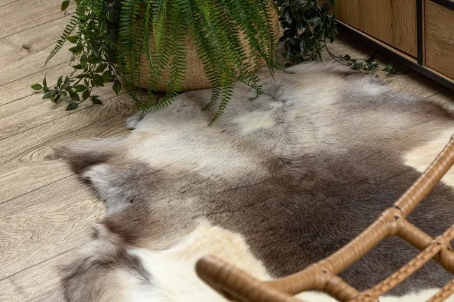 Koberec RENIFER POK019 hnedý