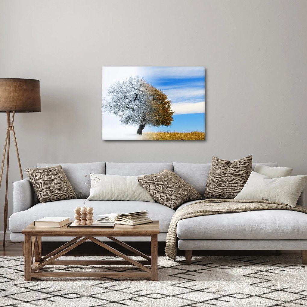 Obraz - Zmena ročného obdobia (70x50 cm)