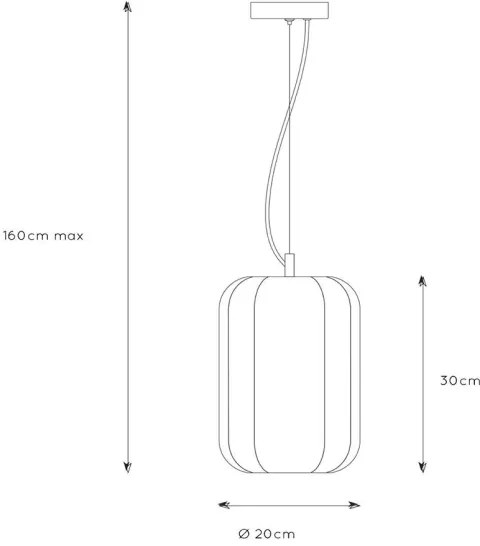 Lucide 25409/01/30 - Luster na lanku FERN 1xE27/60W/230V