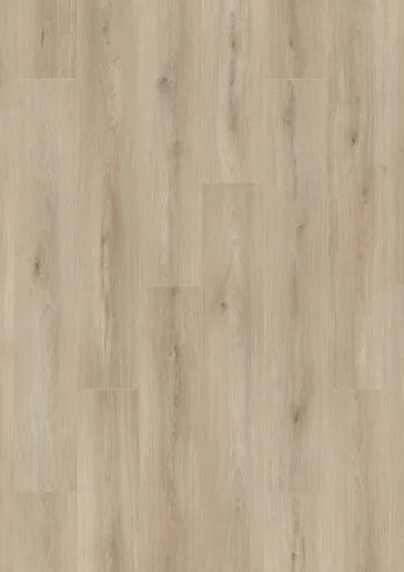 Krono Original Atlantic 8 laminátová podlaha ecru cantal oak 8 mm ATLANTIC8K653