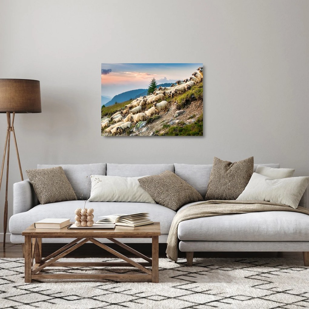 Sklenený obraz - Stádo oviec (70x50 cm)