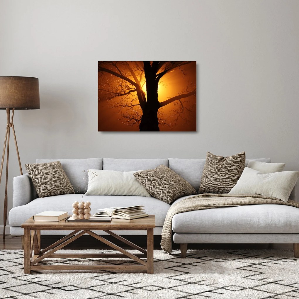 Sklenený obraz stromu pri západe slnka (70x50 cm)