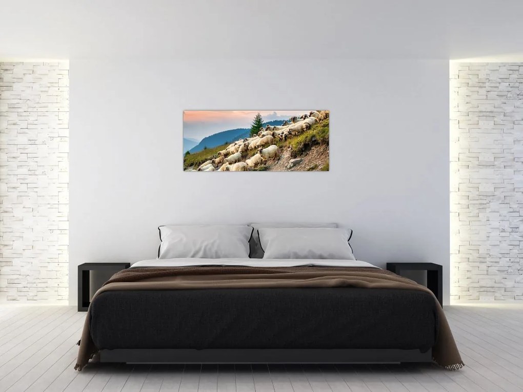Obraz - Stádo oviec (120x50 cm)