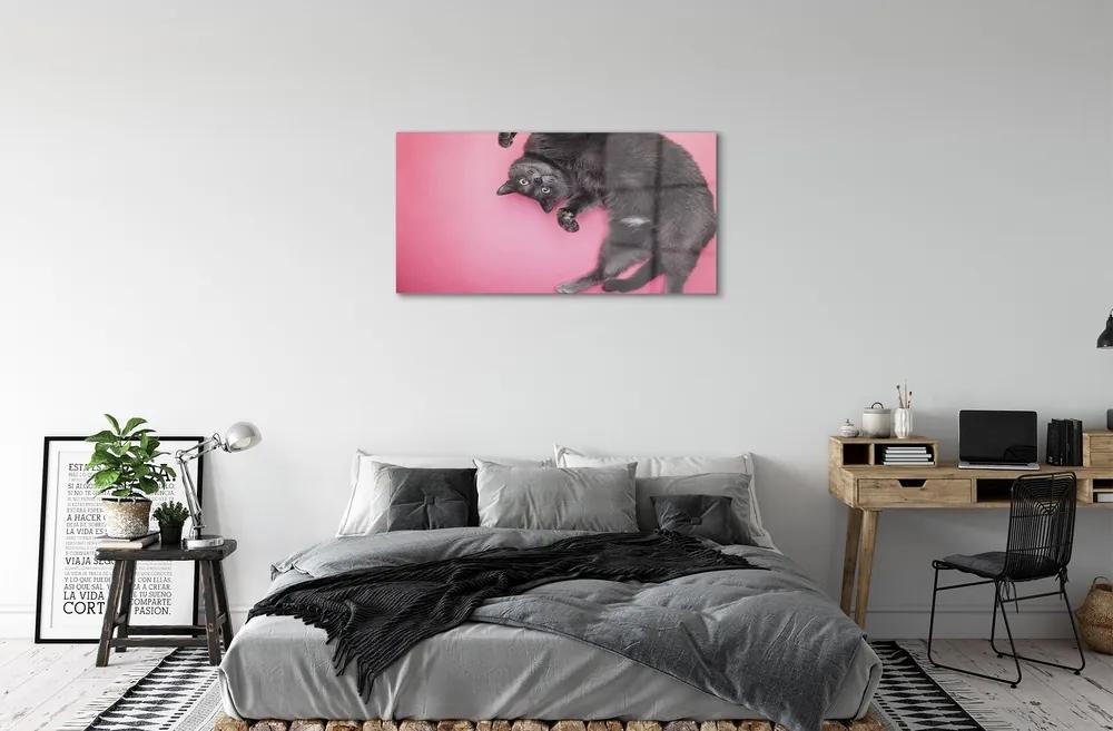 Sklenený obraz ležiace mačka 120x60 cm