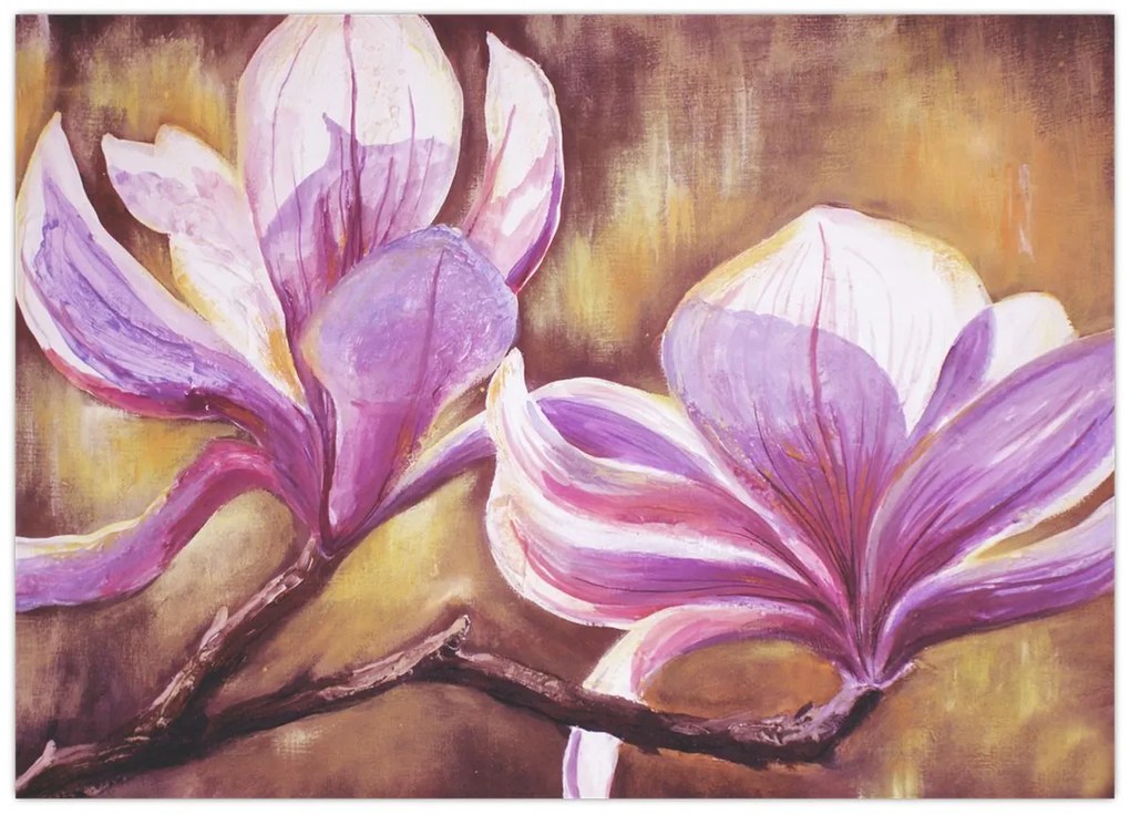 Obraz - Kvety magnólie (70x50 cm)