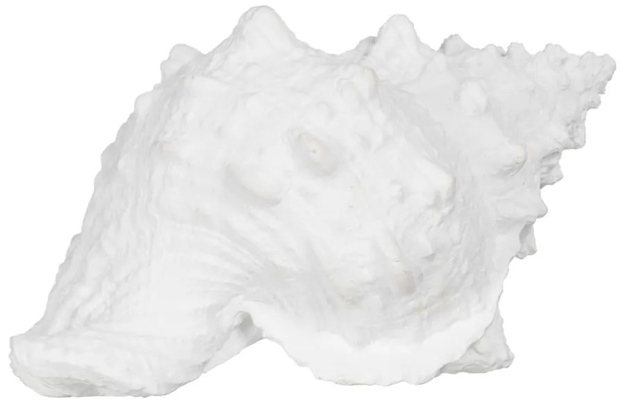Soška z polyresínu (výška 12 cm) Seashell – Ixia