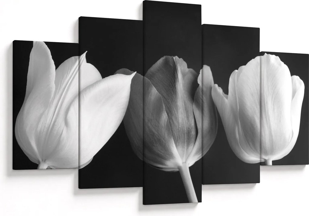 Obraz - Čiernobiele kvety tulipánov (150x105 cm)