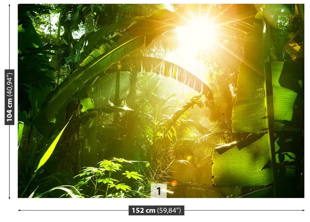 Fototapeta Vliesová Džungľa vietnam 152x104 cm