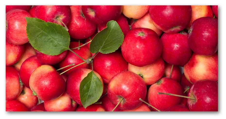 Foto obraz akrylový Červené jablko pl-oa-140x70-f-91288454