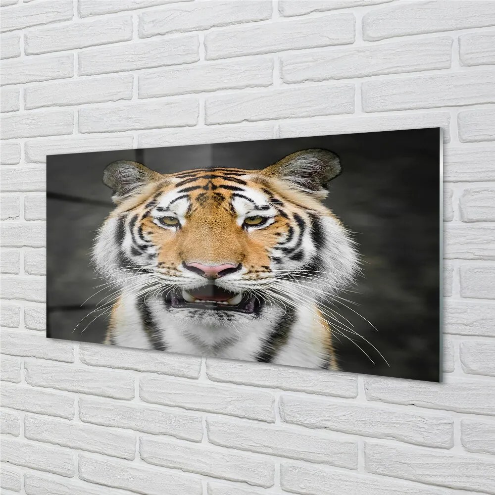 Sklenený obraz tiger 125x50 cm