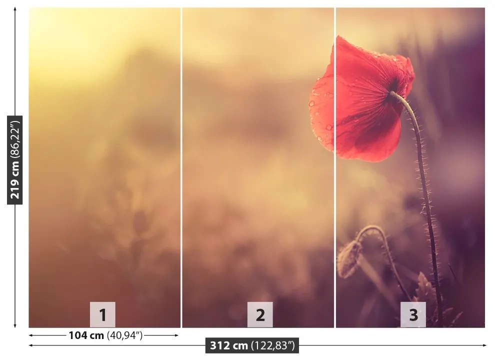 Fototapeta Vliesová Makový kvet 208x146 cm