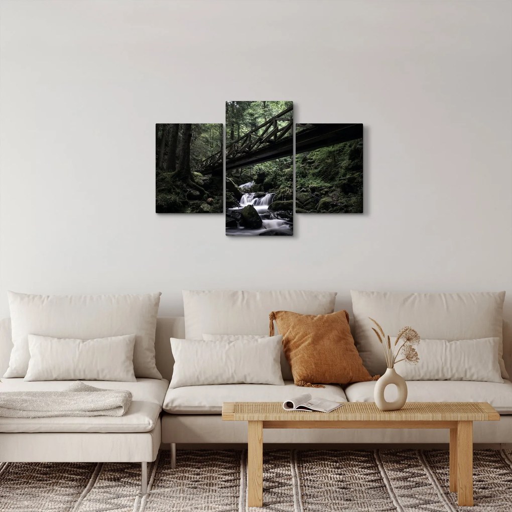 Obraz z čierneho lesa (90x60 cm)