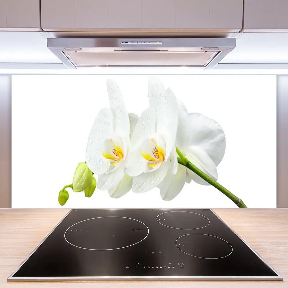 Sklenený obklad Do kuchyne Plátky kvet bíla orchidea 125x50 cm
