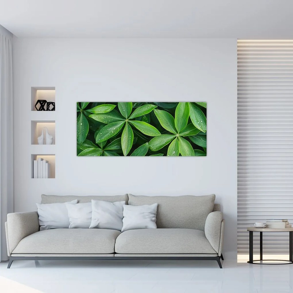 Obraz - Listy s kvapkami rosy (120x50 cm)